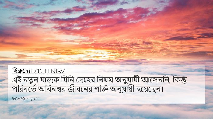 হিব্রুদের 7:16 BENIRV 4K Wallpaper - এই নতুন যাজক যিনি - 4K Wallpaper Bible Verse