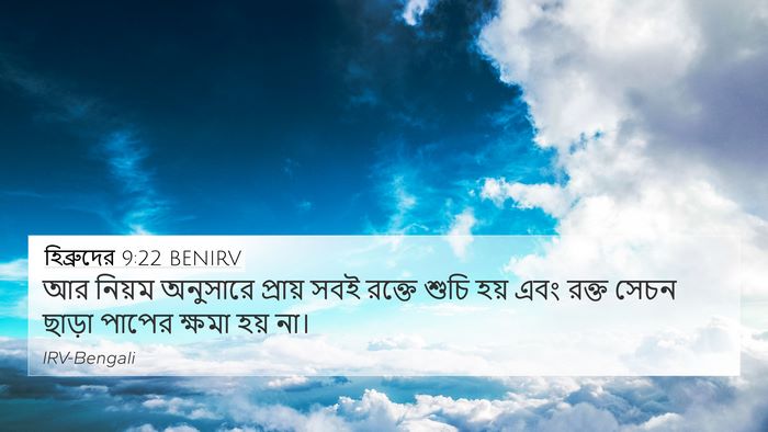 হিব্রুদের 9:22 BENIRV Bible Verse Image