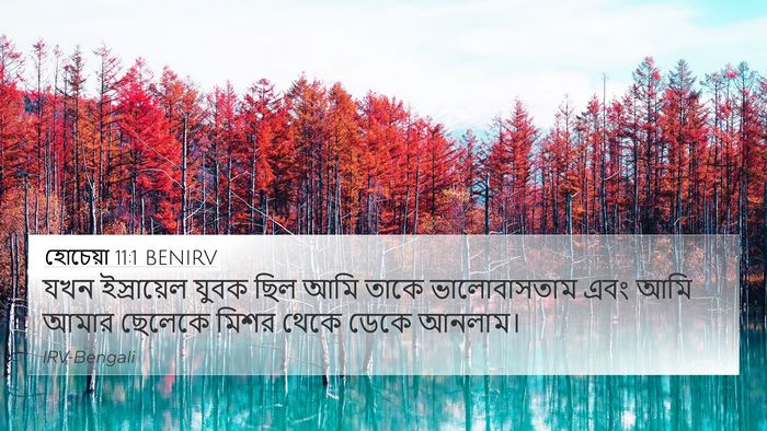 হোচেয়া 11:1 BENIRV Bible Verse Image