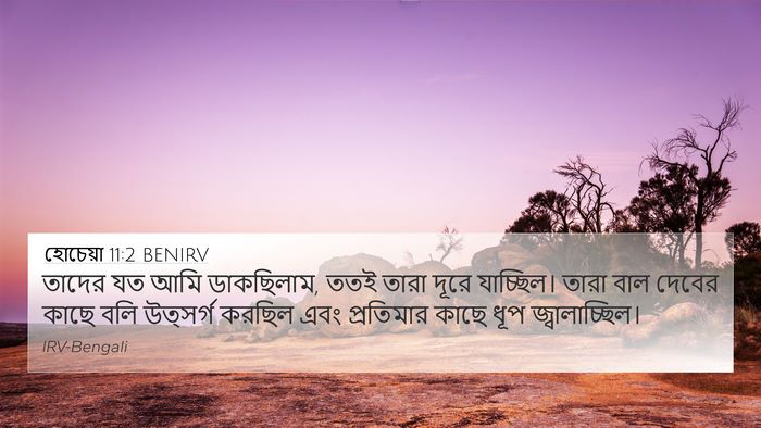 হোচেয়া 11:2 BENIRV Bible Verse Image