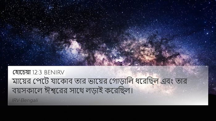 হোচেয়া 12:3 BENIRV Bible Verse Image