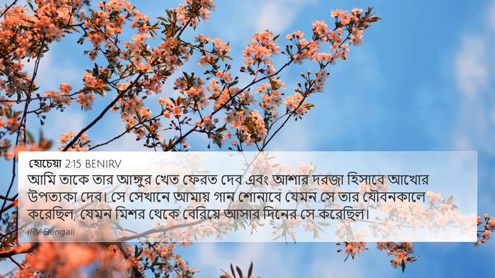 হোচেয়া 2:15 BENIRV Bible Verse Image