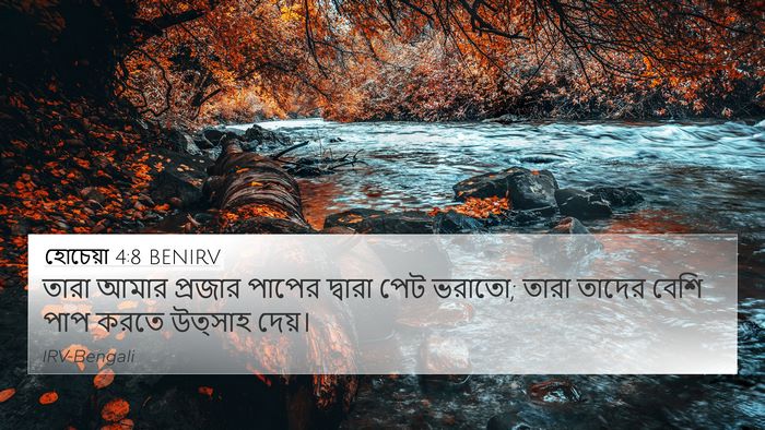 হোচেয়া 4:8 BENIRV Bible Verse Image