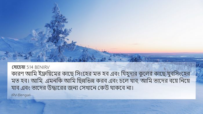 হোচেয়া 5:14 BENIRV Bible Verse Image