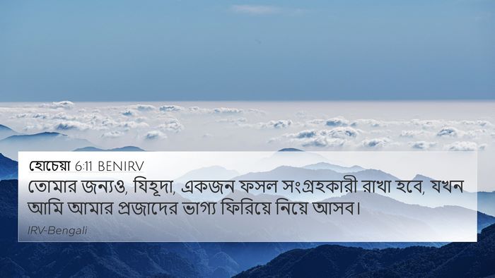হোচেয়া 6:11 BENIRV Bible Verse Image