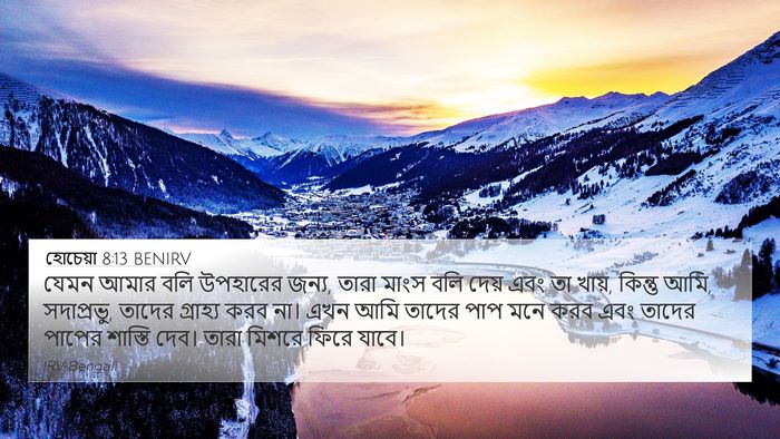 হোচেয়া 8:13 BENIRV Bible Verse Image