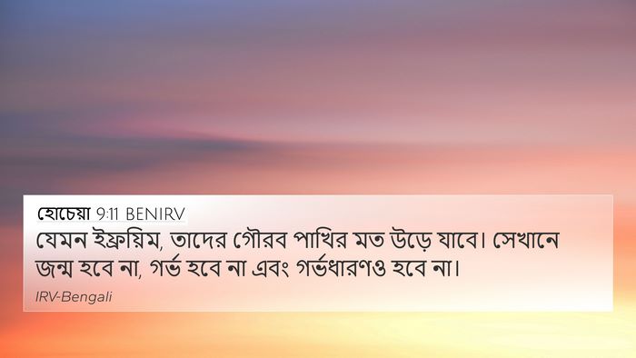 হোচেয়া 9:11 BENIRV Bible Verse Image