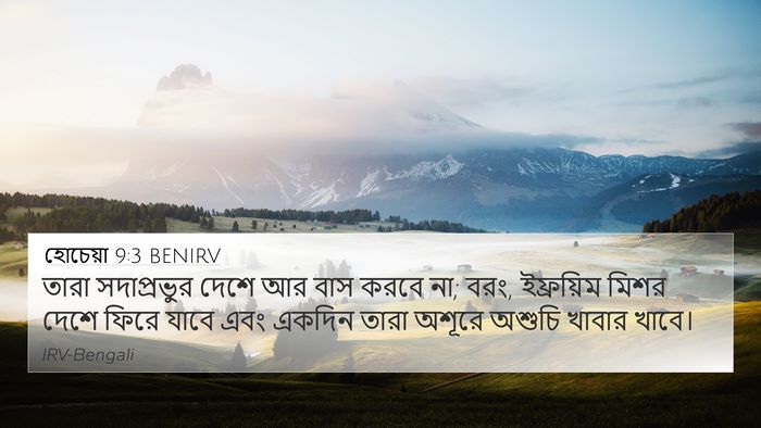 হোচেয়া 9:3 BENIRV Bible Verse Image