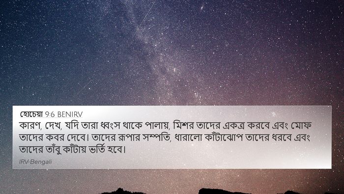 হোচেয়া 9:6 BENIRV Bible Verse Image
