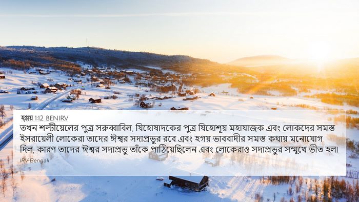 হ্গ্গয় 1:12 BENIRV Bible Verse Image