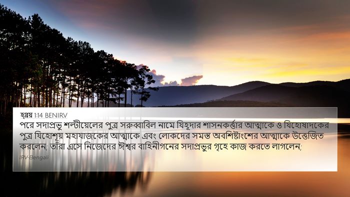 হ্গ্গয় 1:14 BENIRV Bible Verse Image