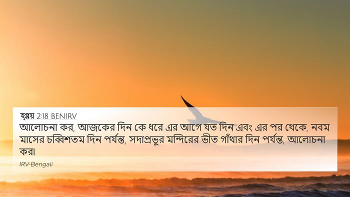 হ্গ্গয় 2:18 BENIRV Bible Verse Image