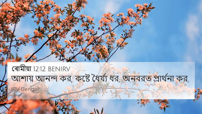 ৰোমীয়া 12:12 BENIRV Bible Verse Image