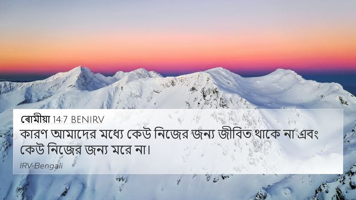 ৰোমীয়া 14:7 BENIRV Bible Verse Image