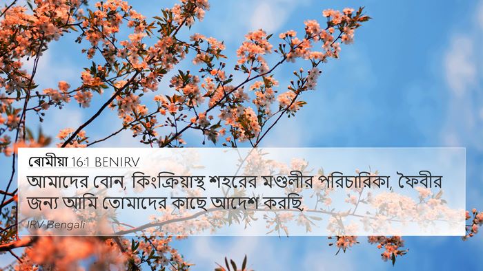 ৰোমীয়া 16:1 BENIRV 4K Wallpaper - আমাদের বোন, - 4K Wallpaper Bible Verse