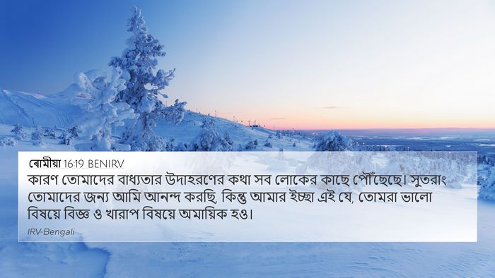 ৰোমীয়া 16:19 BENIRV Bible Verse Image