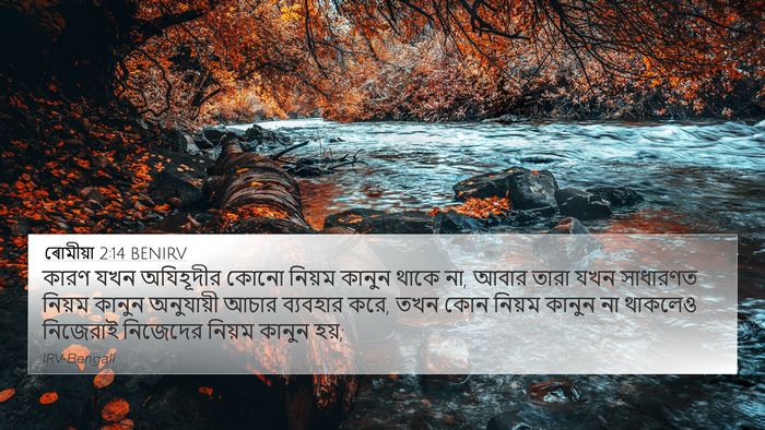 ৰোমীয়া 2:14 BENIRV Bible Verse Image