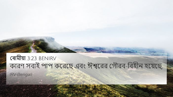 ৰোমীয়া 3:23 BENIRV Bible Verse Image