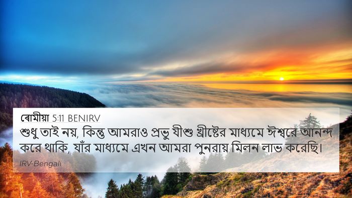 ৰোমীয়া 5:11 BENIRV Bible Verse Image