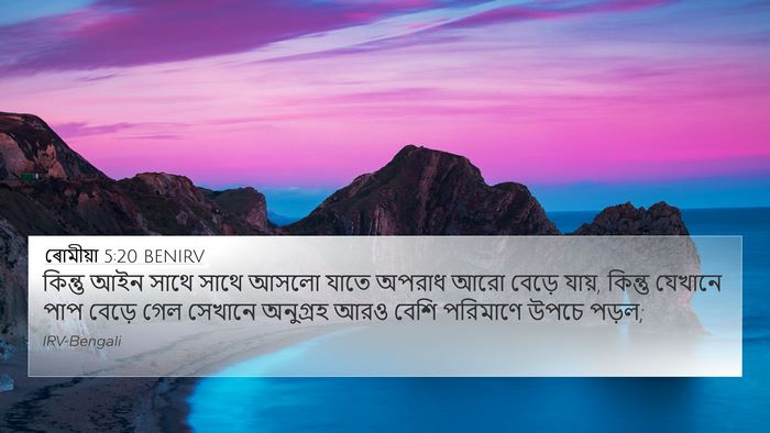 ৰোমীয়া 5:20 BENIRV Bible Verse Image