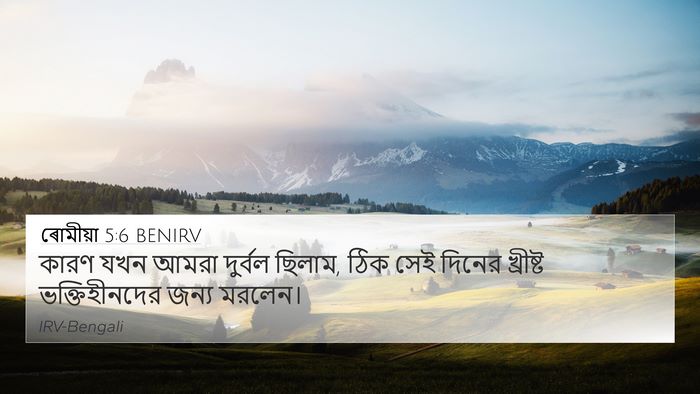 ৰোমীয়া 5:6 BENIRV Bible Verse Image