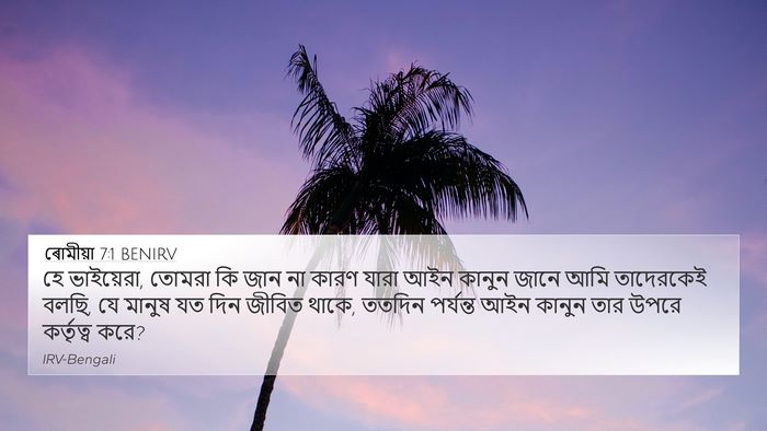 ৰোমীয়া 7:1 BENIRV 4K Wallpaper - হে ভাইয়েরা, তোমরা - 4K Wallpaper Bible Verse