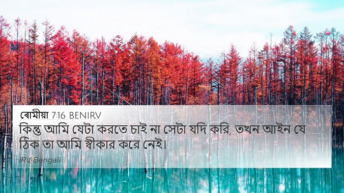 ৰোমীয়া 7:16 BENIRV Bible Verse Image