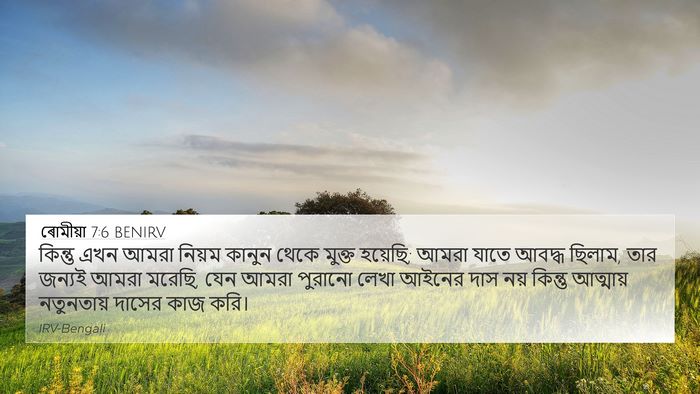 ৰোমীয়া 7:6 BENIRV Bible Verse Image