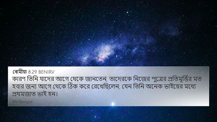 ৰোমীয়া 8:29 BENIRV Bible Verse Image