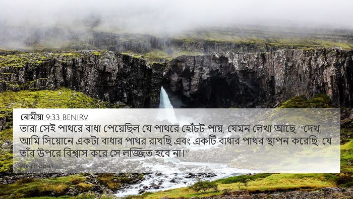 ৰোমীয়া 9:33 BENIRV Bible Verse Image