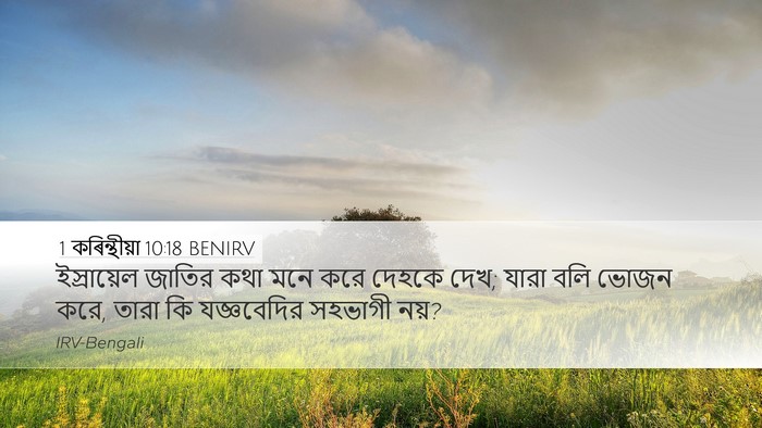 1 কৰিন্থীয়া 10:18 BENIRV Bible Verse Image