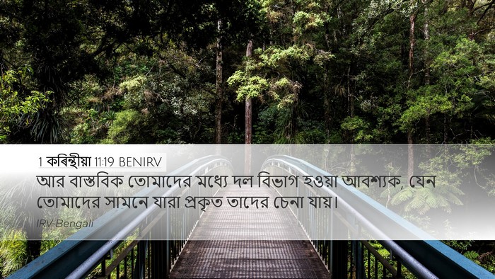1 কৰিন্থীয়া 11:19 BENIRV Bible Verse Image