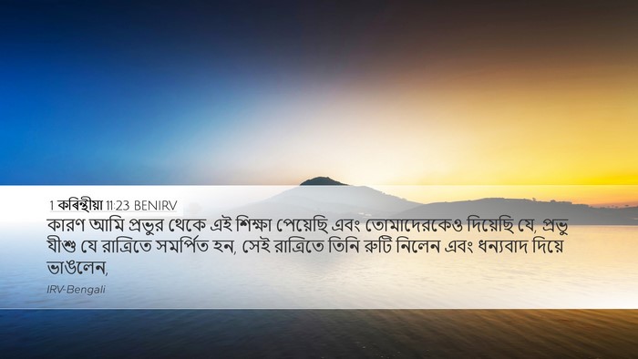 1 কৰিন্থীয়া 11:23 BENIRV Bible Verse Image
