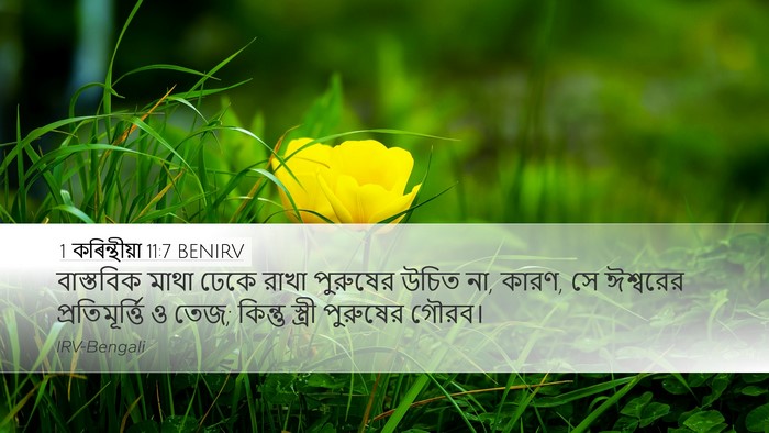 1 কৰিন্থীয়া 11:7 BENIRV Bible Verse Image