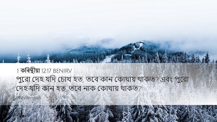 1 কৰিন্থীয়া 12:17 BENIRV Desktop Wallpaper - পুরো দেহ যদি চোখ - Desktop Bible Verse Wallpaper