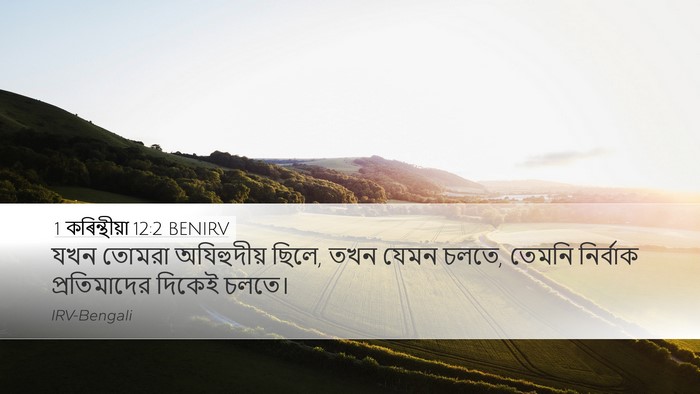 1 কৰিন্থীয়া 12:2 BENIRV Bible Verse Image