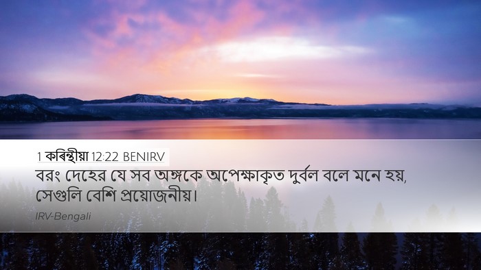 1 কৰিন্থীয়া 12:22 BENIRV Bible Verse Image