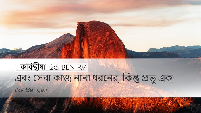 1 কৰিন্থীয়া 12:5 BENIRV Bible Verse Image