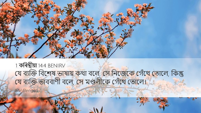 1 কৰিন্থীয়া 14:4 BENIRV Bible Verse Image