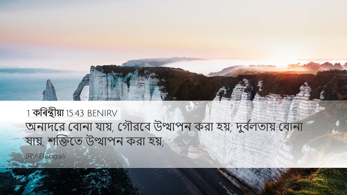 1 কৰিন্থীয়া 15:43 BENIRV Bible Verse Image