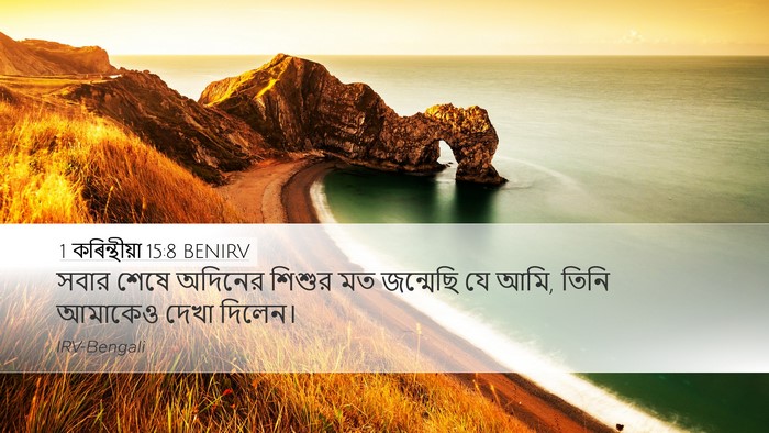 1 কৰিন্থীয়া 15:8 BENIRV Bible Verse Image