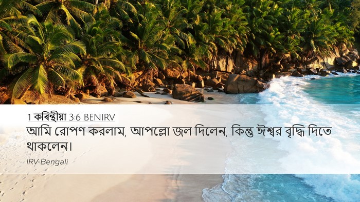 1 কৰিন্থীয়া 3:6 BENIRV Bible Verse Image