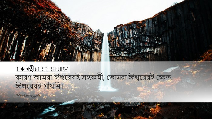 1 কৰিন্থীয়া 3:9 BENIRV Bible Verse Image