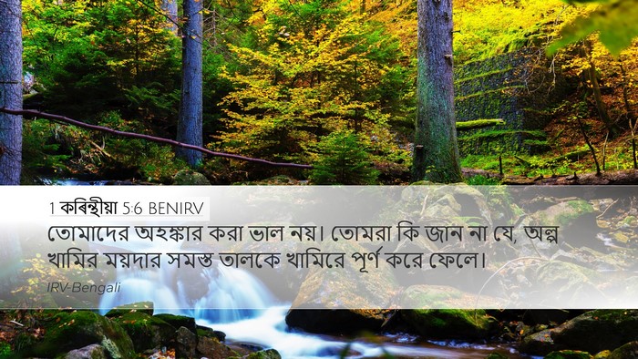 1 কৰিন্থীয়া 5:6 BENIRV Bible Verse Image