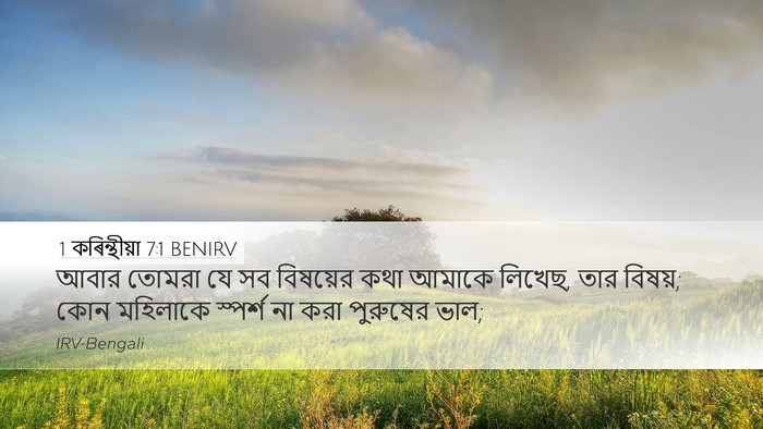 1 কৰিন্থীয়া 7:1 BENIRV Bible Verse Image