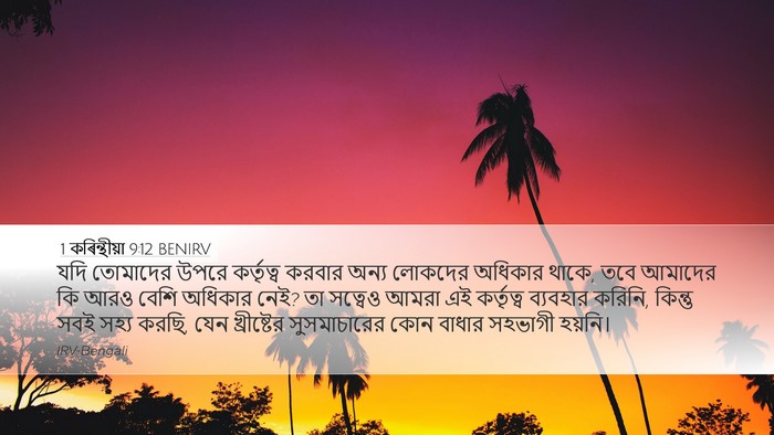 1 কৰিন্থীয়া 9:12 BENIRV Bible Verse Image