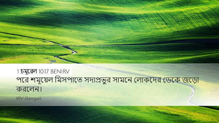 1 চমূৱেল 10:17 BENIRV Bible Verse Image