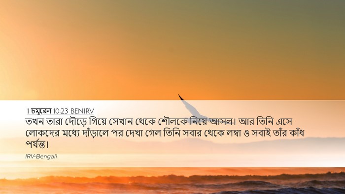 1 চমূৱেল 10:23 BENIRV Bible Verse Image