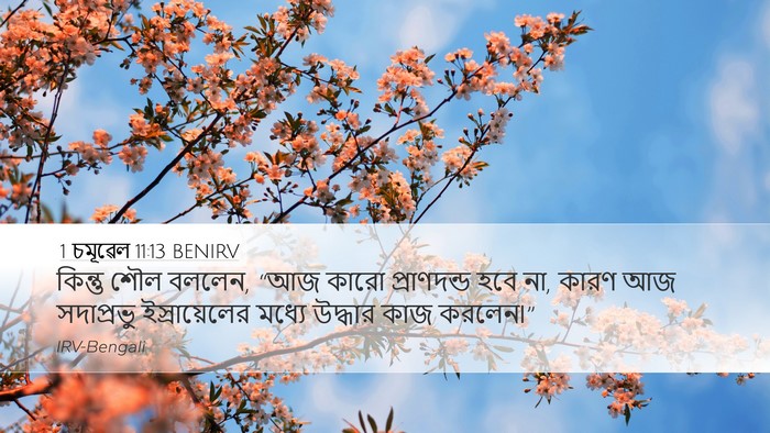 1 চমূৱেল 11:13 BENIRV Bible Verse Image