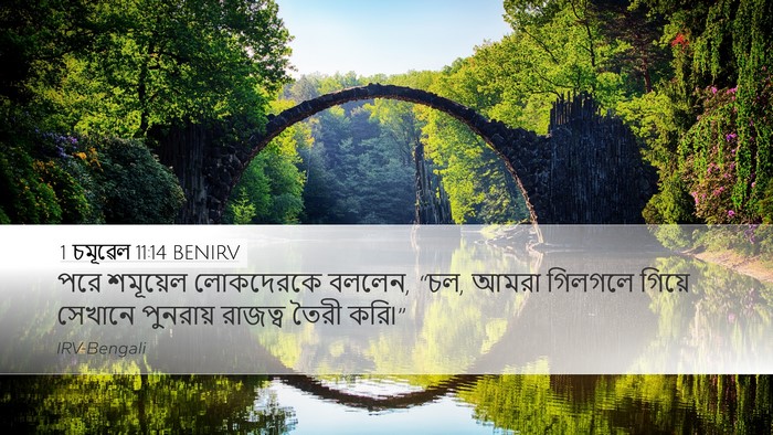 1 চমূৱেল 11:14 BENIRV Bible Verse Image